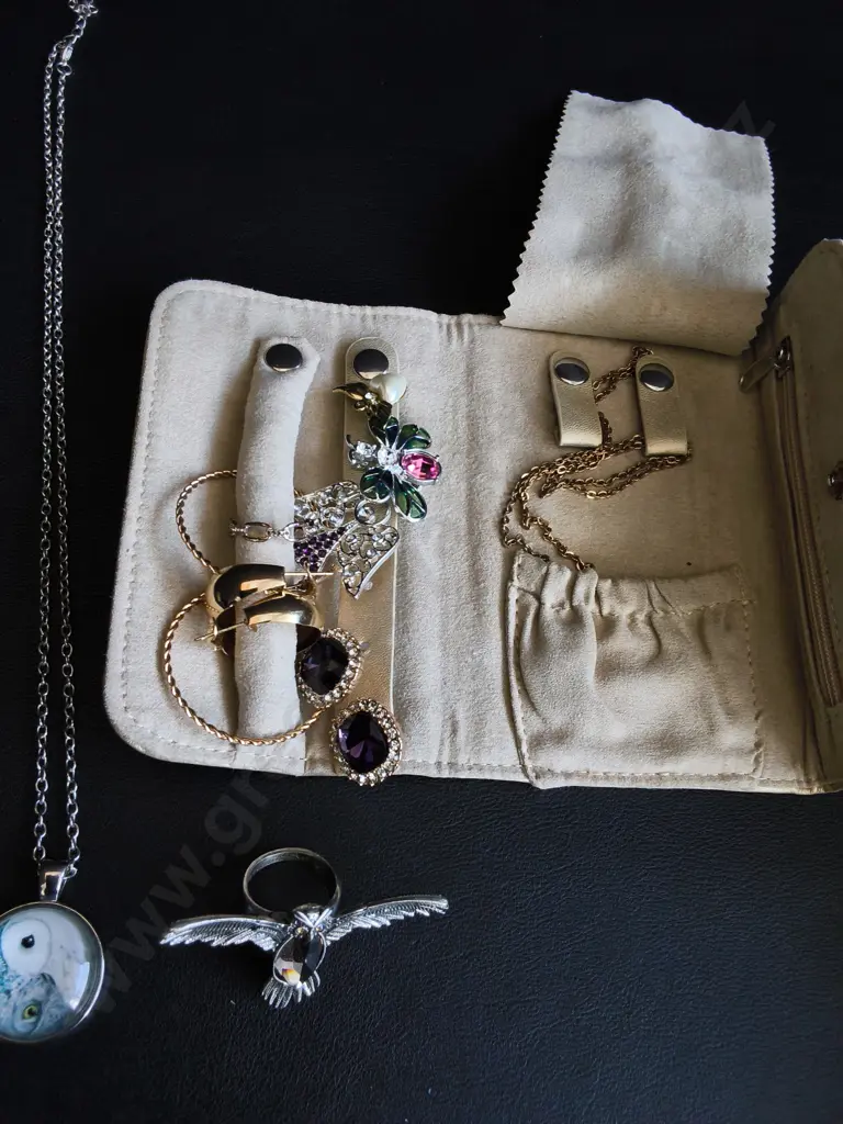 MIX OF JEWELRY AND JEWELRY CASE Image 1++