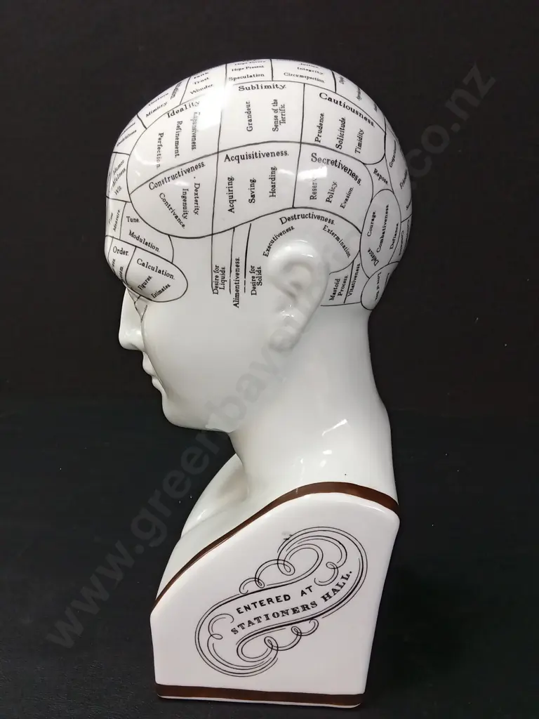 REPLICA OF A L.N. FOWLER PHRENOLOGY HEAD H29CM BY AUTHENTIC MODELS NETHERLANDS Image 1++