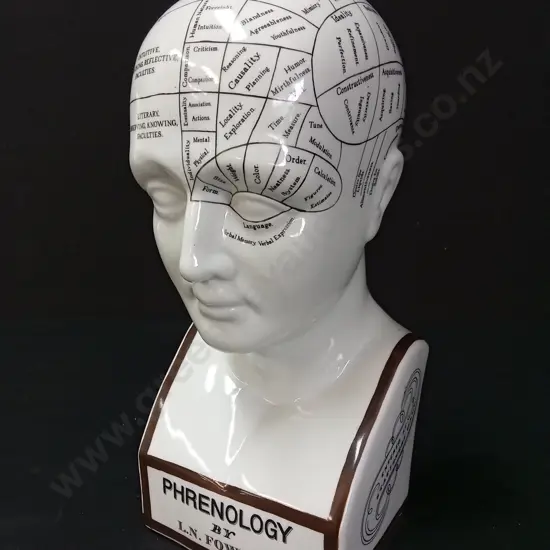 REPLICA OF A L.N. FOWLER PHRENOLOGY HEAD H29CM BY AUTHENTIC MODELS NETHERLANDS