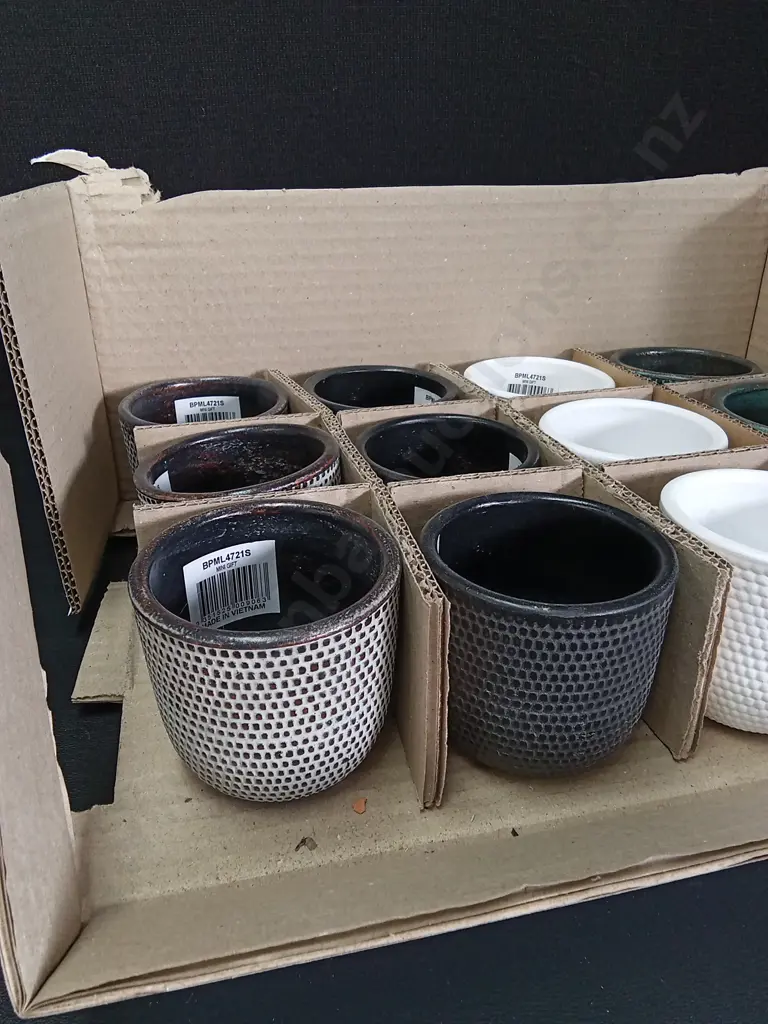 SET OF 12 BRAND NEW MINI PLANT POTS H 6.5CM Image 1++