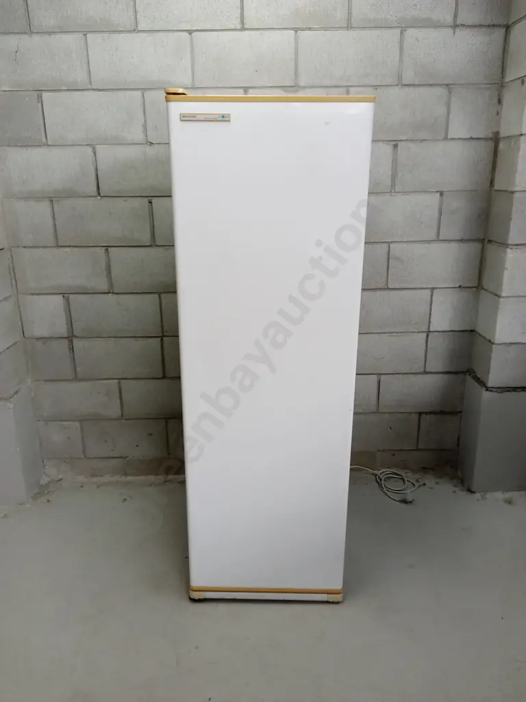 FISHER&PAYKEL FRIGIDAIRE FREEZER H 160CM X W 53CM X D 53CM Image 1++