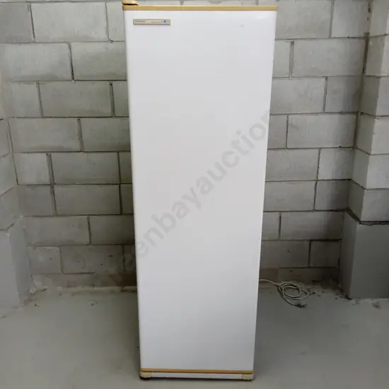 FISHER&PAYKEL FRIGIDAIRE FREEZER H 160CM X W 53CM X D 53CM