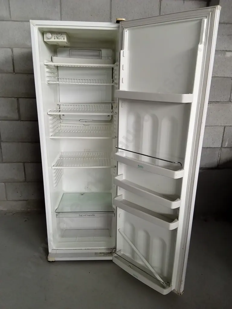 FISHER&PAYKEL FRIGIDAIRE FRIDGE H 160CM X W 53CM X D 53CM Image 1++