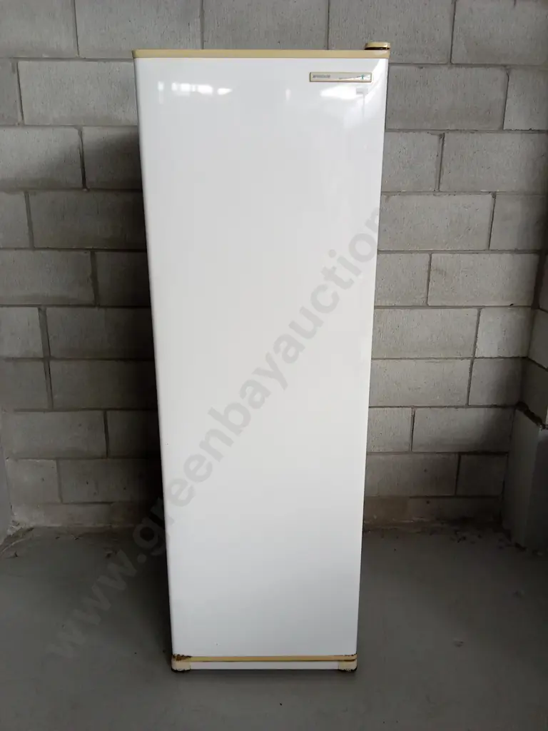 FISHER&PAYKEL FRIGIDAIRE FRIDGE H 160CM X W 53CM X D 53CM Image 1++