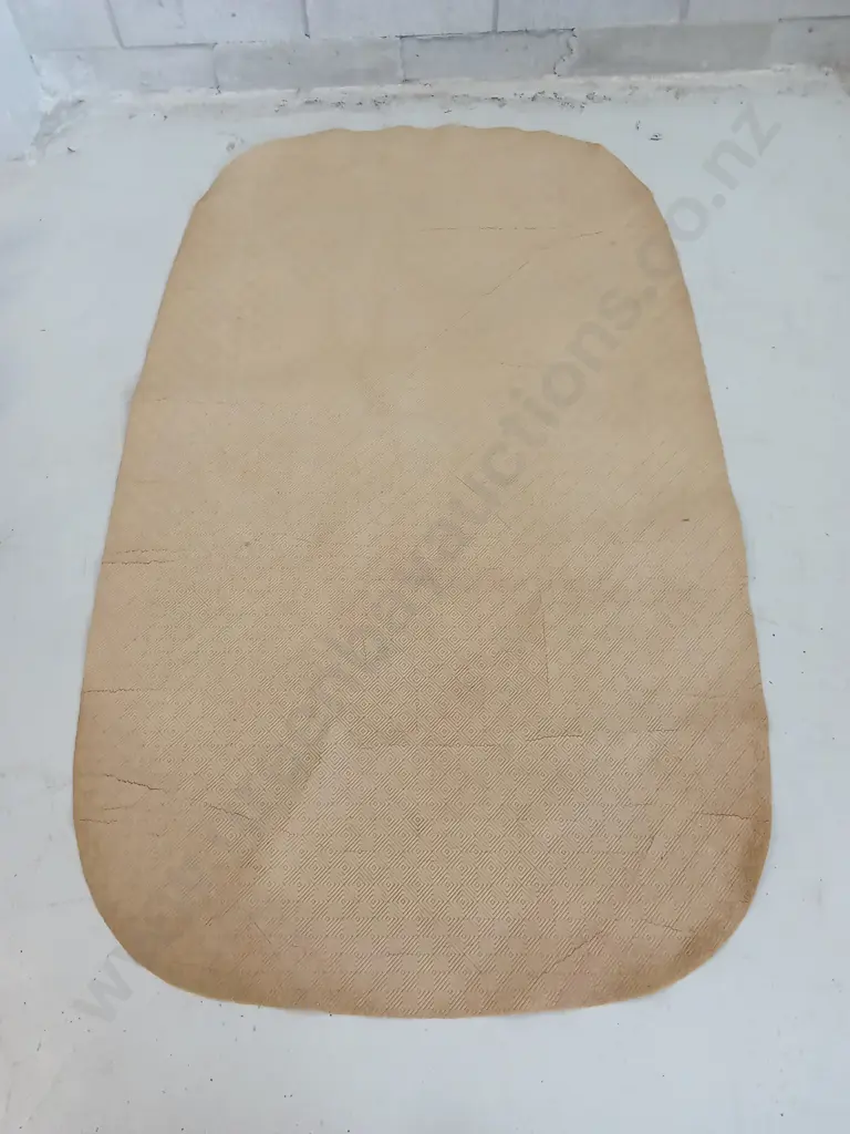 TEXTURED TAN HIDE, 170CM X 101CM Image 1++