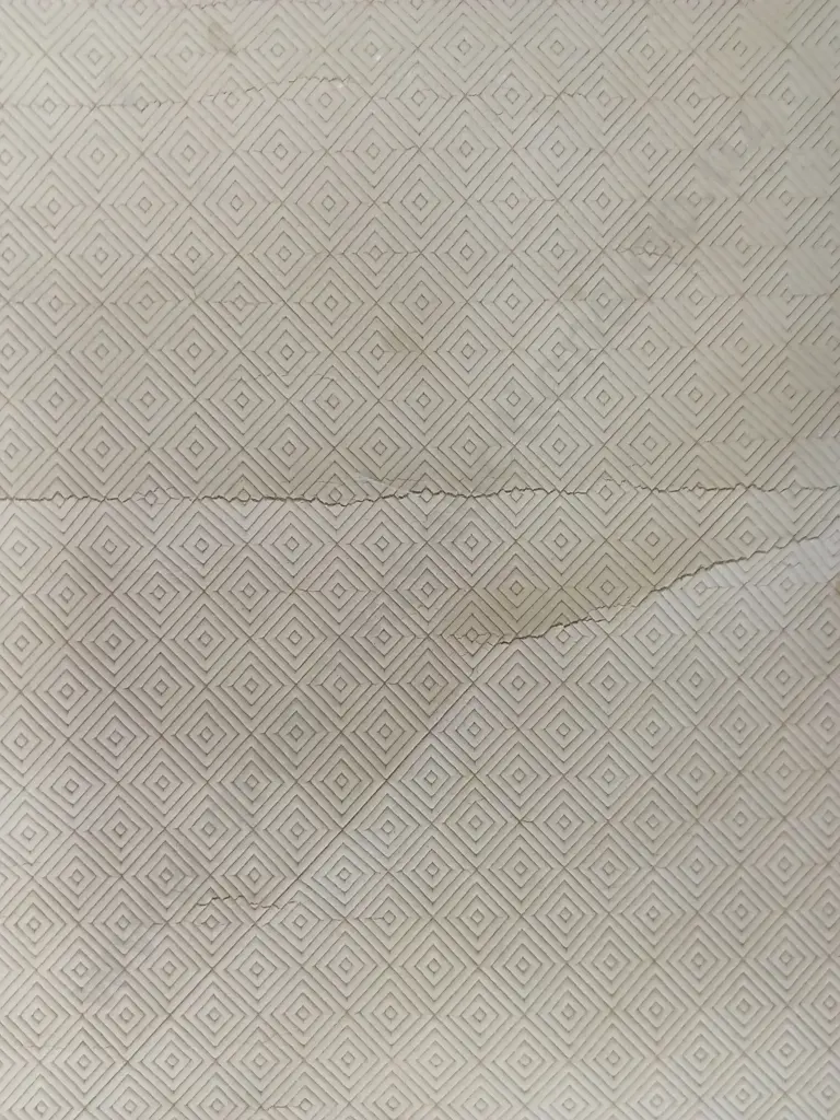 TEXTURED TAN HIDE, 170CM X 101CM Image 1++