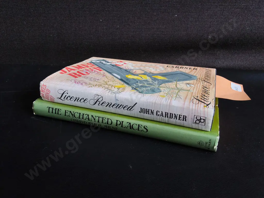 PAIR OF BOOKS Image 1++