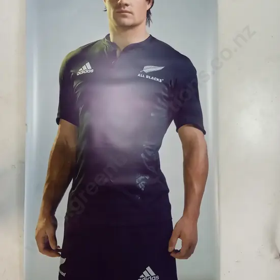 LARGE DAN CARTER PRINT, 230CM X 118CM