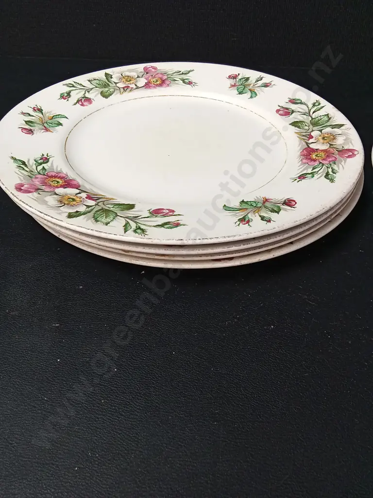 9 VINTAGE PLATES LARGEST L27CM, ALFRED MEAKIN, J&G MEAKIN AND MORE Image 1++