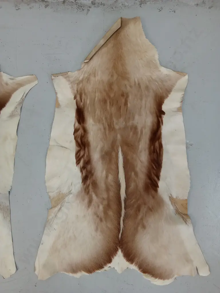 PAIR OF GENUINE ANIMAL HIDES, 100CM Image 1++