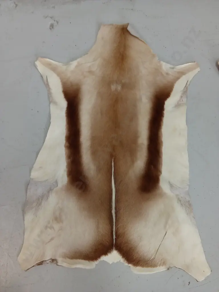 PAIR OF GENUINE ANIMAL HIDES, 100CM Image 1++