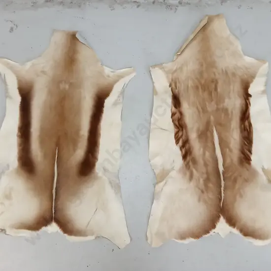 PAIR OF GENUINE ANIMAL HIDES, 100CM