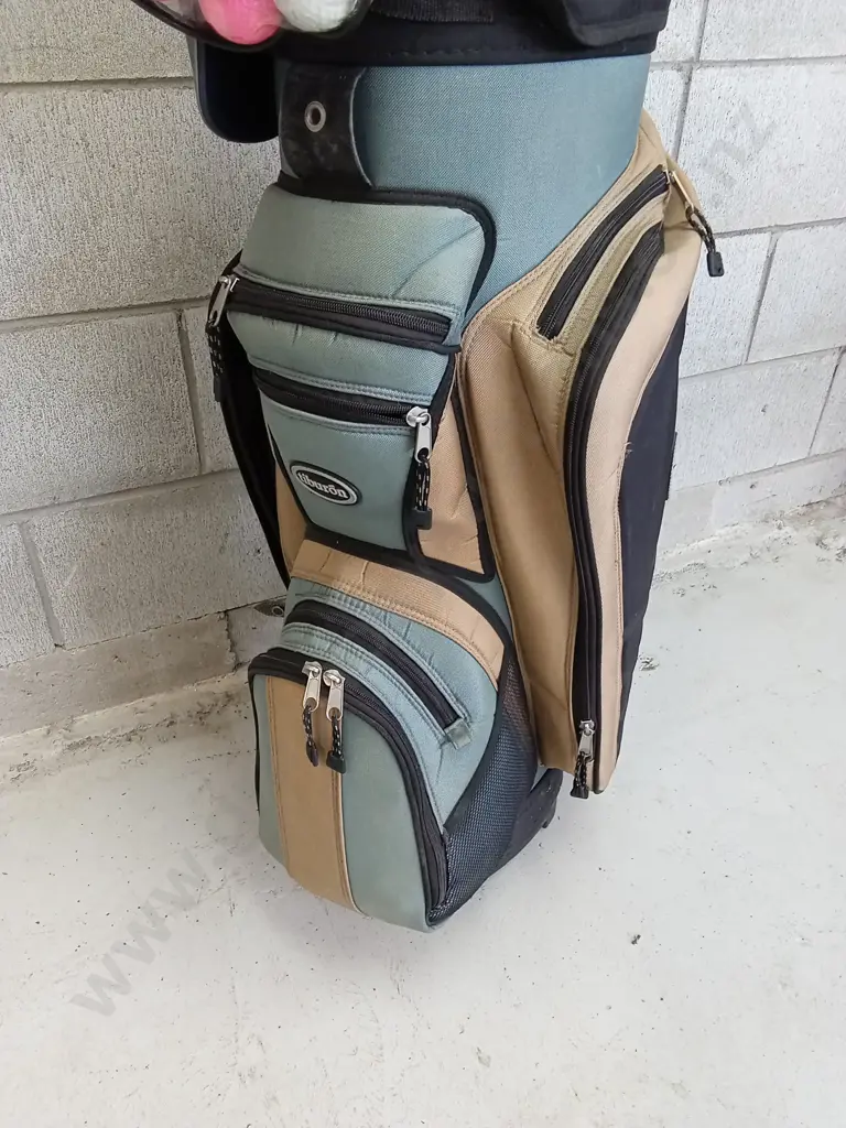 SET OF GOLF CLUBS IN MULTI POCKET CARRYING STAND AND BALLS Image 1++