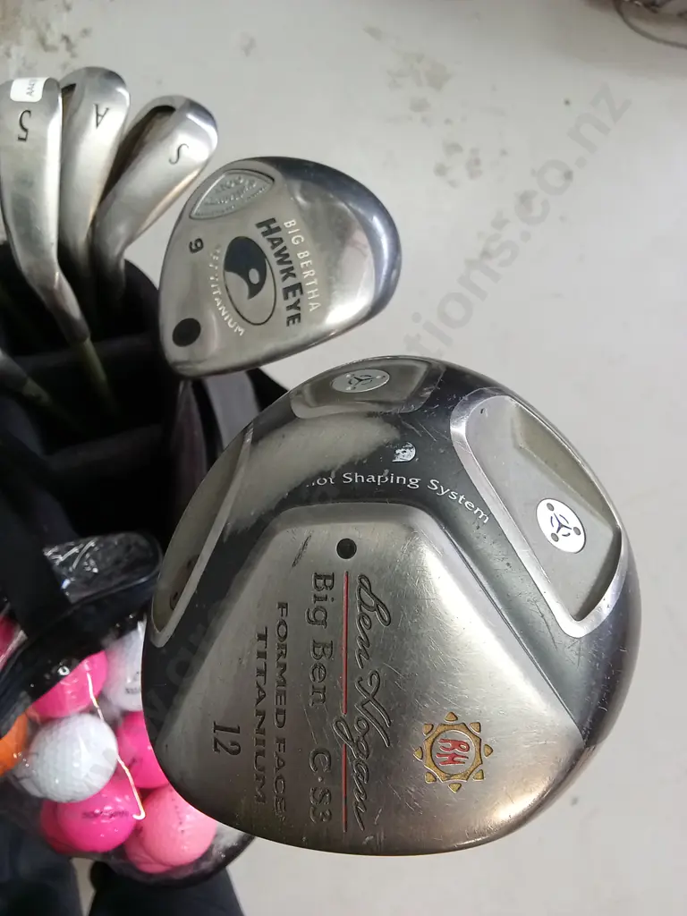 SET OF GOLF CLUBS IN MULTI POCKET CARRYING STAND AND BALLS Image 1++