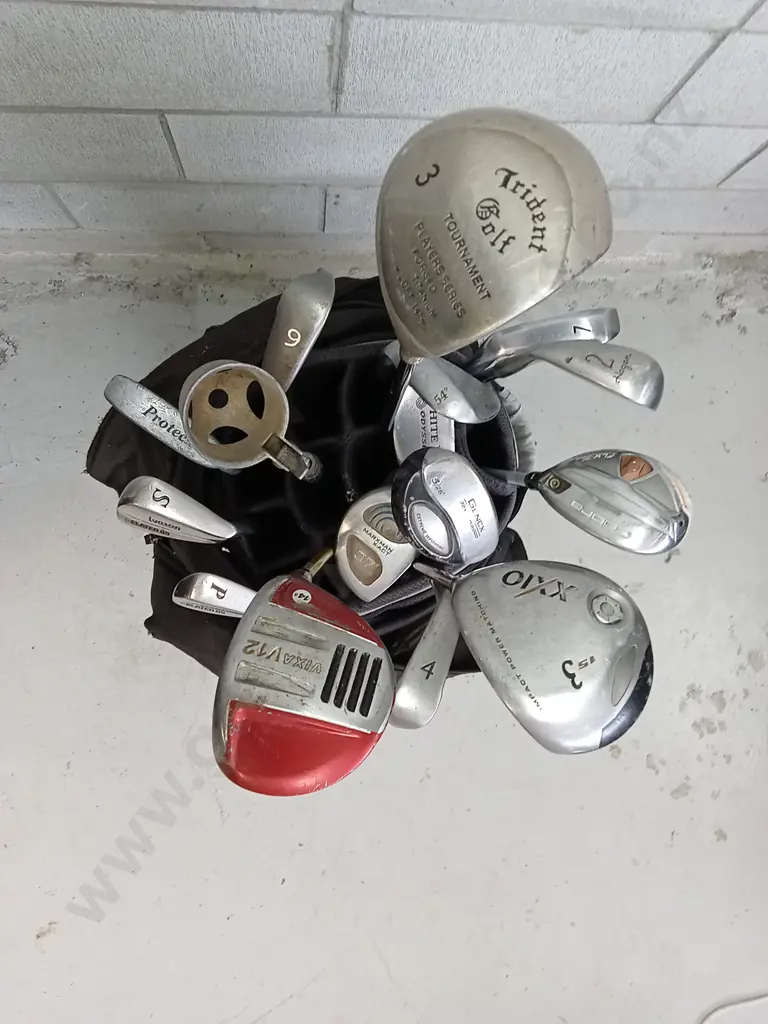 SET OF GOLF CLUBS IN MULTI POCKET CARRYING STAND Image 1++
