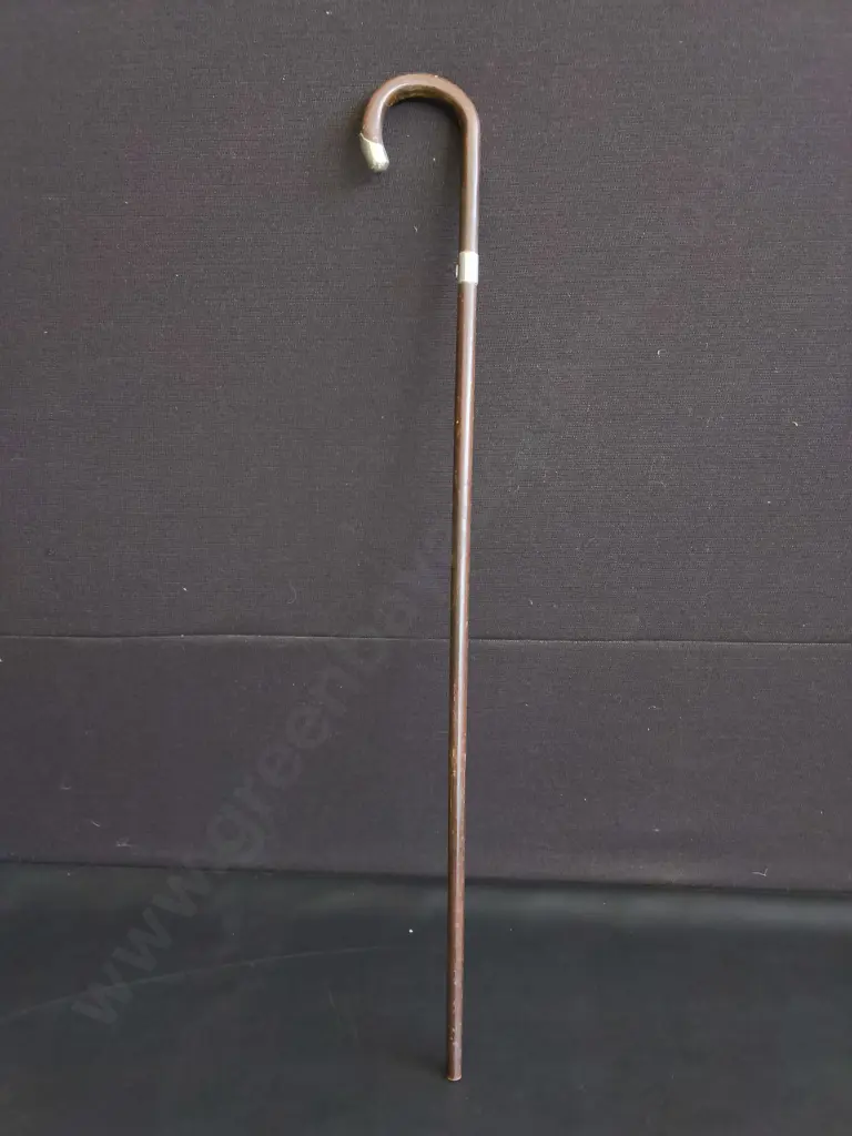 ANTIQUE WALKING CANE WITH STERLING SILVER ACCENTS Image 1++