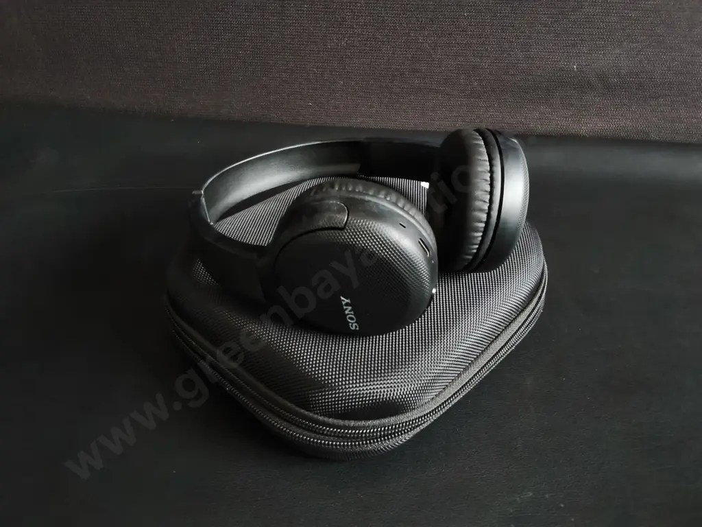 SONY HEADPHONES WITH PROTECTIVE CASE Image 1++