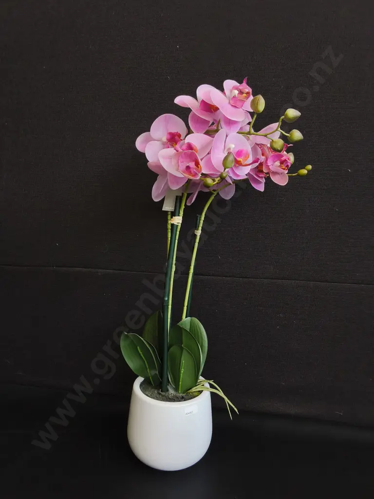 ARTIFICIAL ORCHID POTTED PLANT, H 64 CM Image 1++