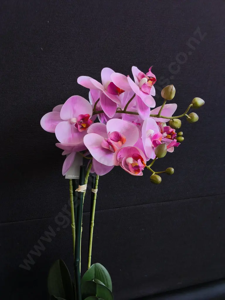 ARTIFICIAL ORCHID POTTED PLANT, H 64 CM Image 1++