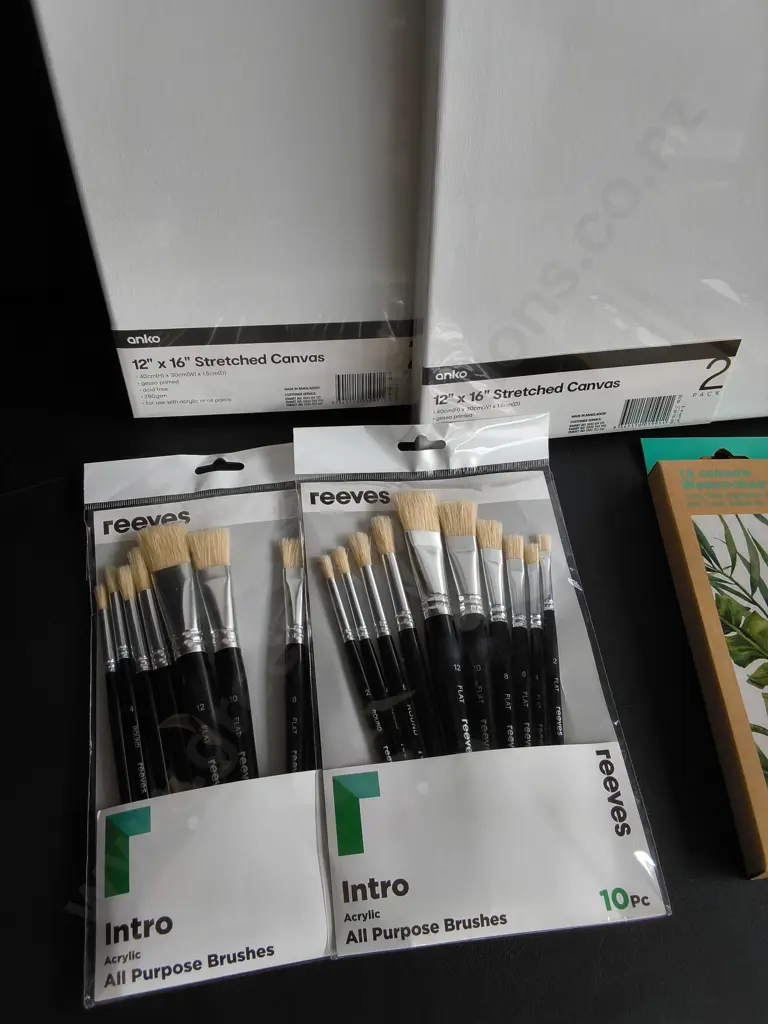 6 BRAND NEW CANVASES, PAINTBRUSHES, AND PAINTS Image 1++