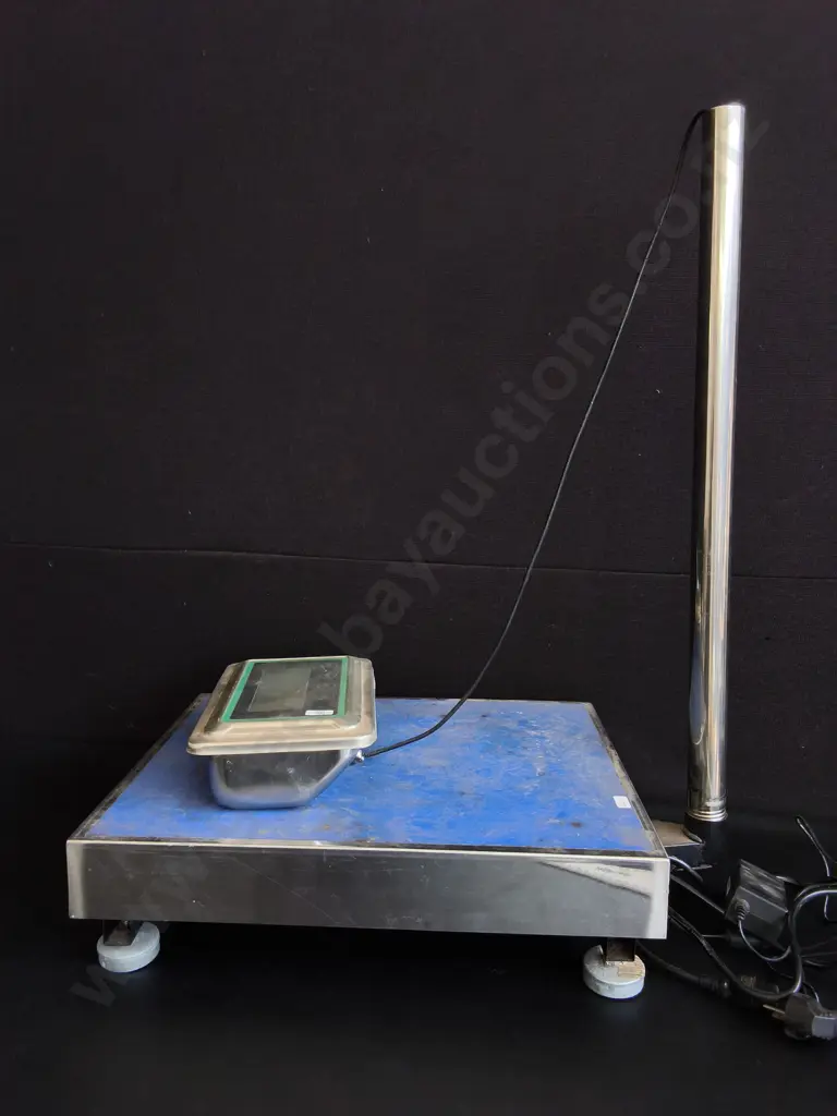 ELECTRONIC INDUSTRIAL PLATFORM SCALE, UNTESTED Image 1++