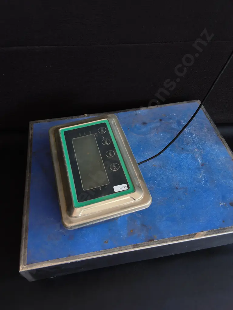 ELECTRONIC INDUSTRIAL PLATFORM SCALE, UNTESTED Image 1++
