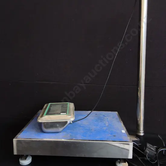 ELECTRONIC INDUSTRIAL PLATFORM SCALE, UNTESTED