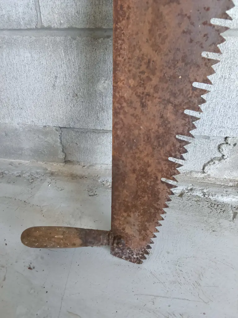 VINTAGE ONE MAN CROSSCUT SAW Image 1++