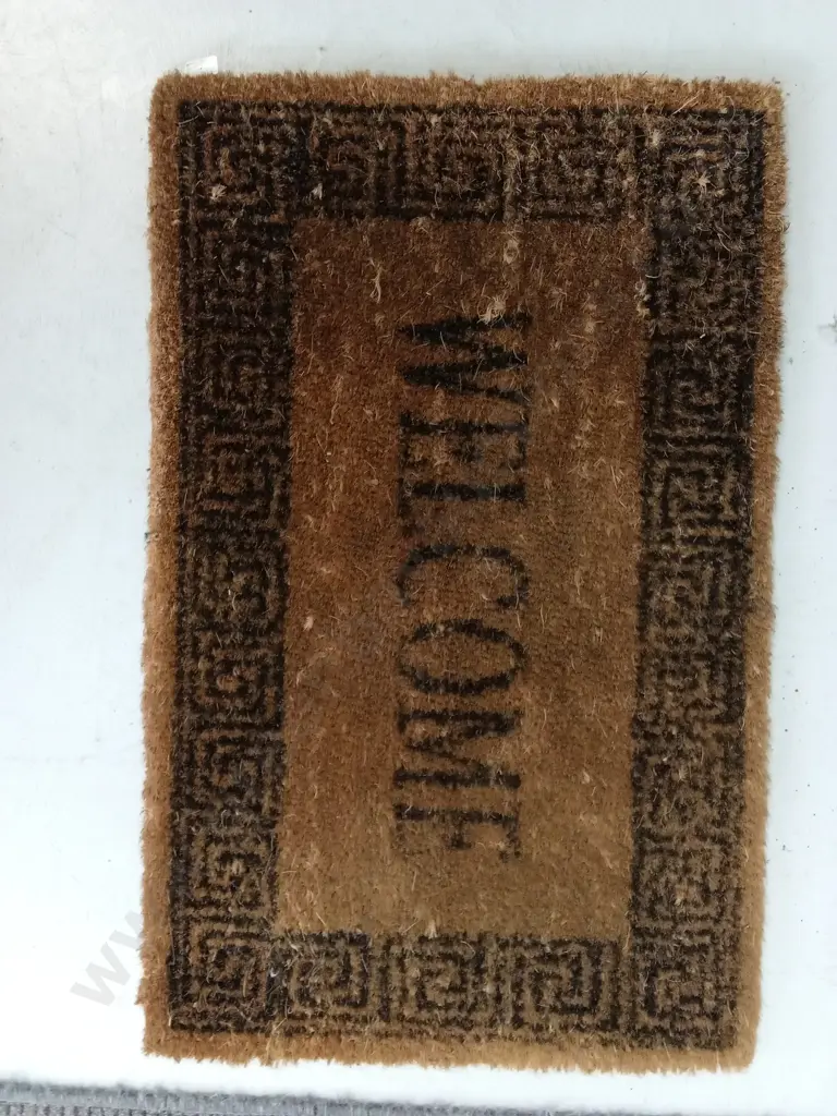 TWO FLOOR MATS, LARGEST IS 120CM X 70CM Image 1++