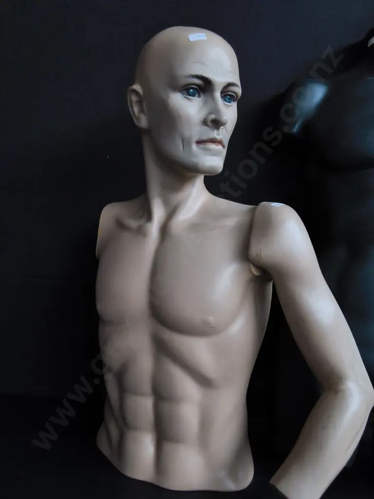 MANNEQUINS, MALE UPPER BODIES, TALLEST H 93 CM Image 1++