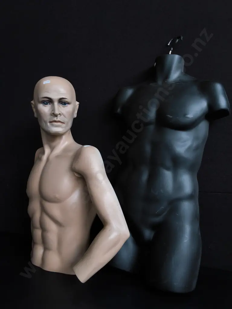 MANNEQUINS, MALE UPPER BODIES, TALLEST H 93 CM Image 1++