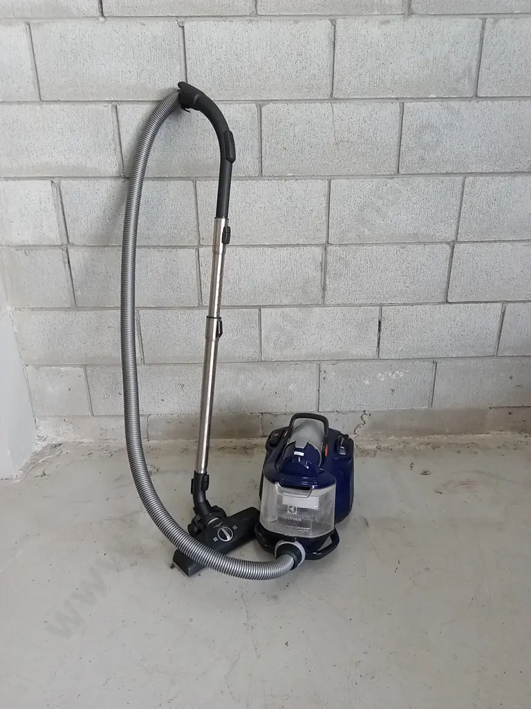 WORKING ELECTROLUX VACUUM SILENT PERFORMER CYCLONIC Image 1++