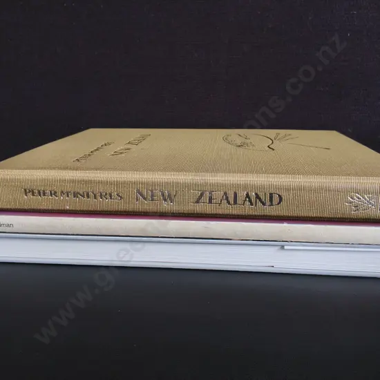 3 LARGE BOOKS ON ART