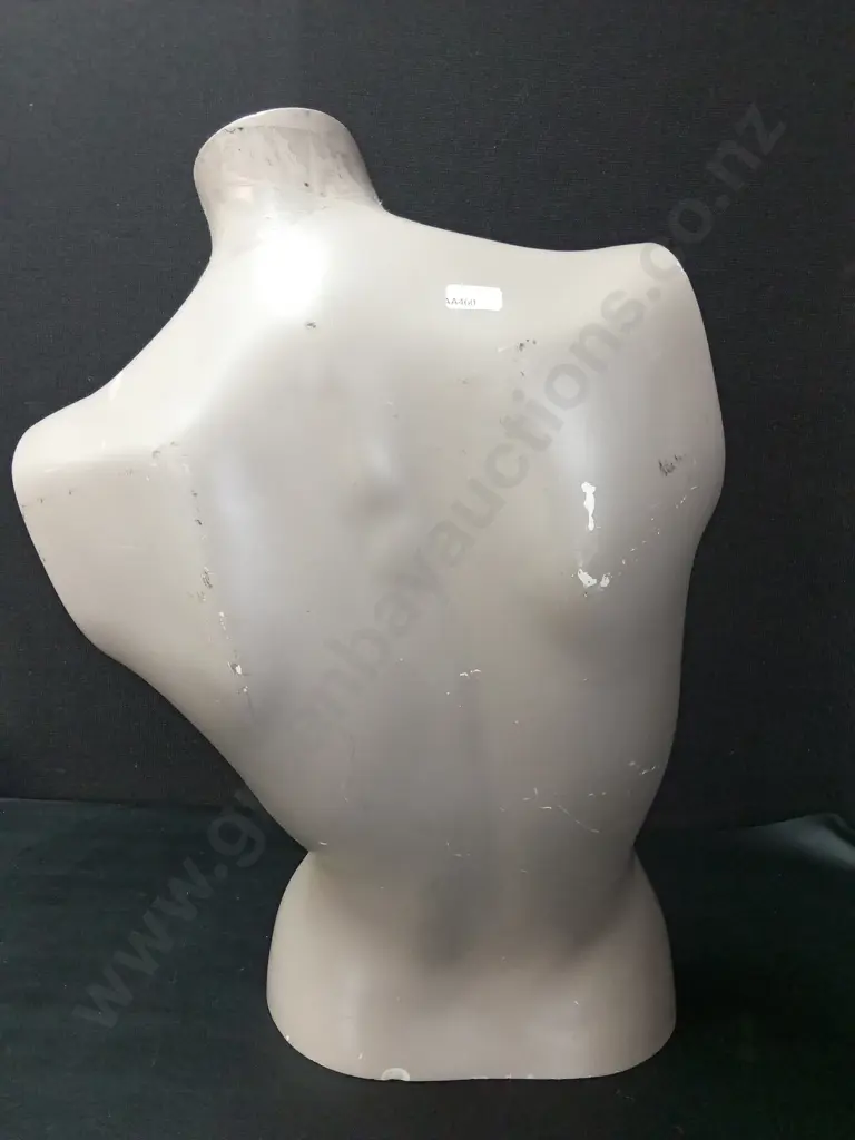 FEMALE MANNEQUIN TORSE H54CM Image 1++