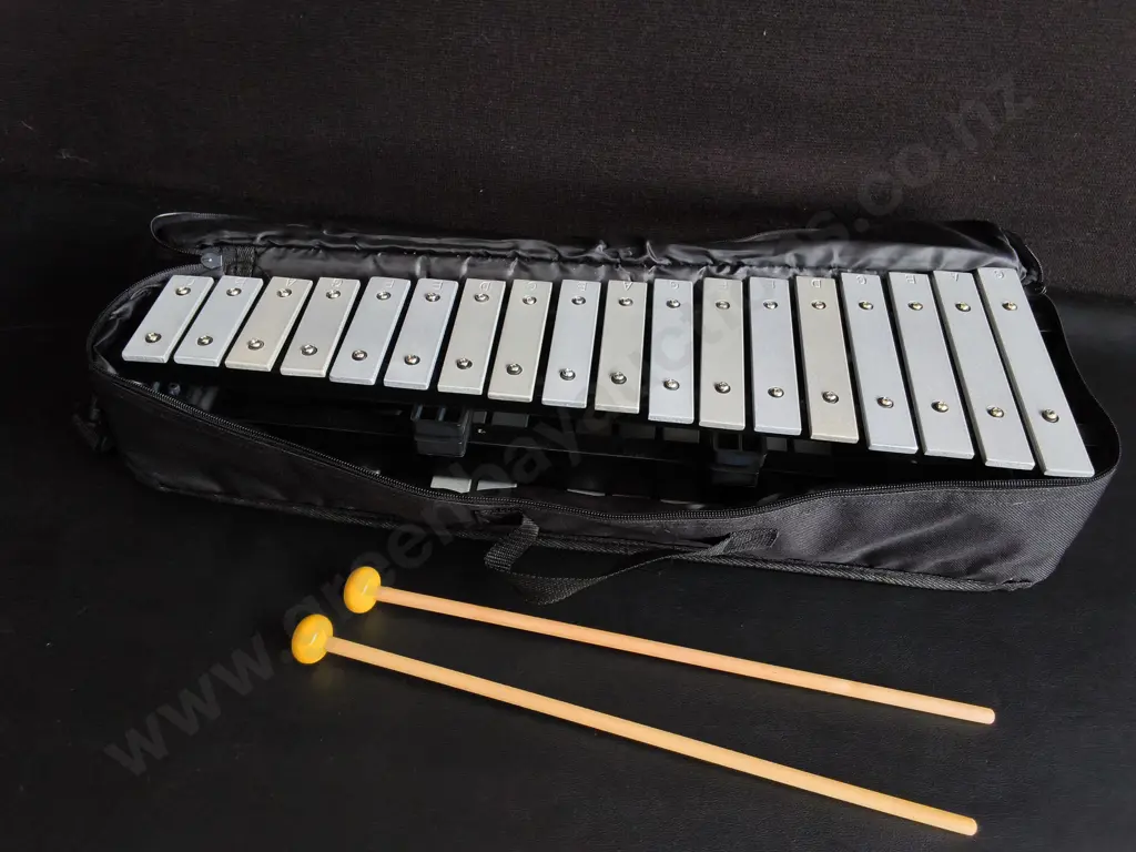 30 NOTE GLOCKENSPIEL WITH MALLETS, IN CASE Image 1++
