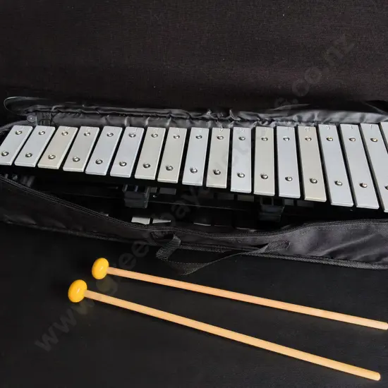 30 NOTE GLOCKENSPIEL WITH MALLETS, IN CASE