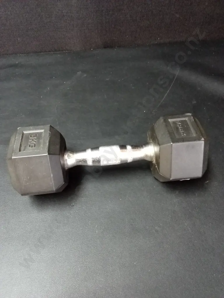 5KG YORK DUMBBELL Image 1++