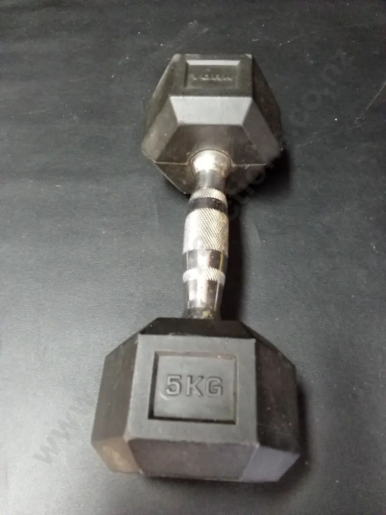 5KG YORK DUMBBELL Image 1++