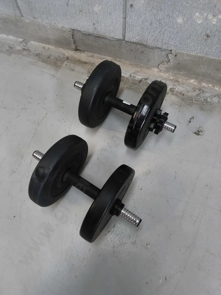 PAIR OF DUMBELLS Image 1++