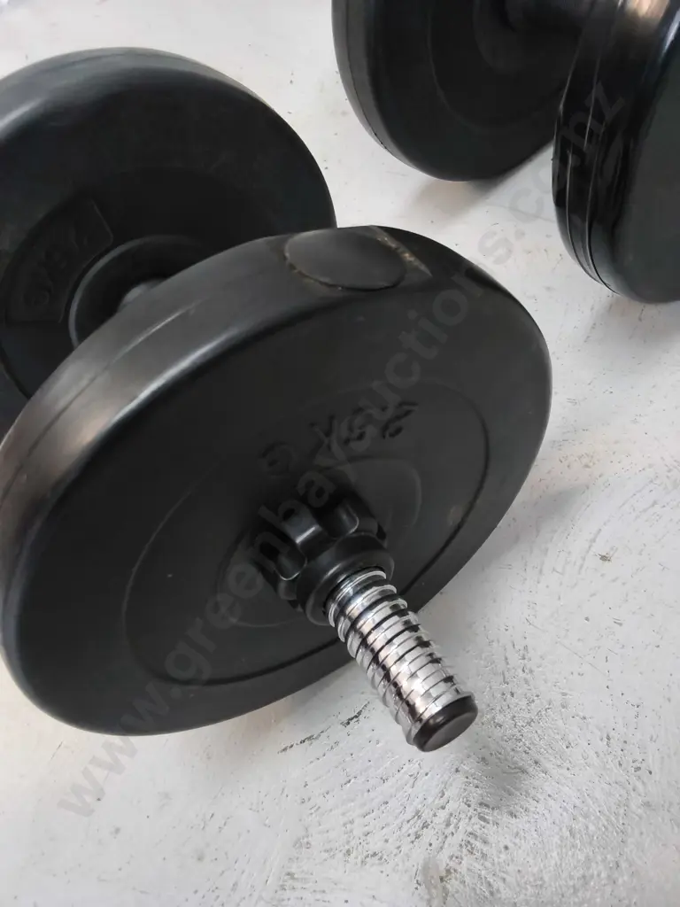 PAIR OF DUMBELLS Image 1++