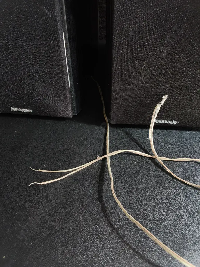 PAIR OF PANASONIC SPEAKERS Image 1++