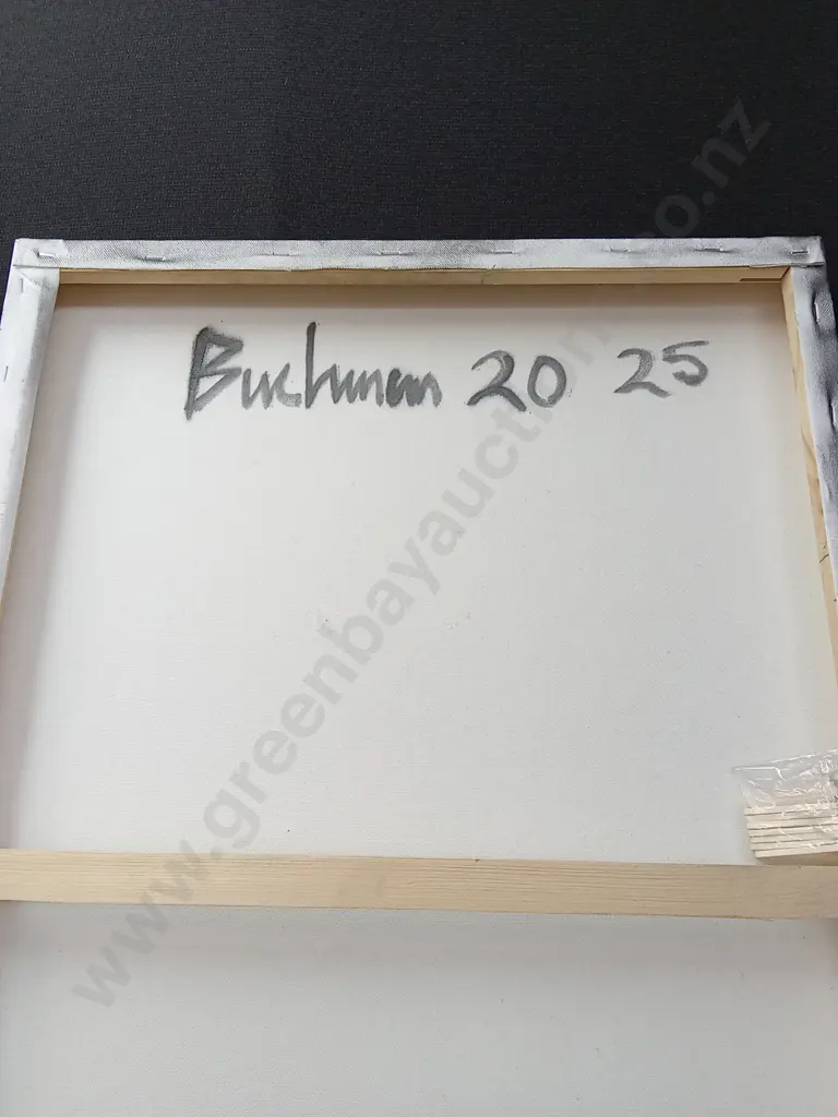 ORIGINAL 2026 PAINTING BY DEAN BUCHANAN H76CM L51CM Image 1++