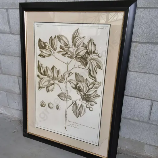 FRAMED BOTANICAL PRINT, NEEDS GLASS REPLACED, H 1.19 M X W 87 CM