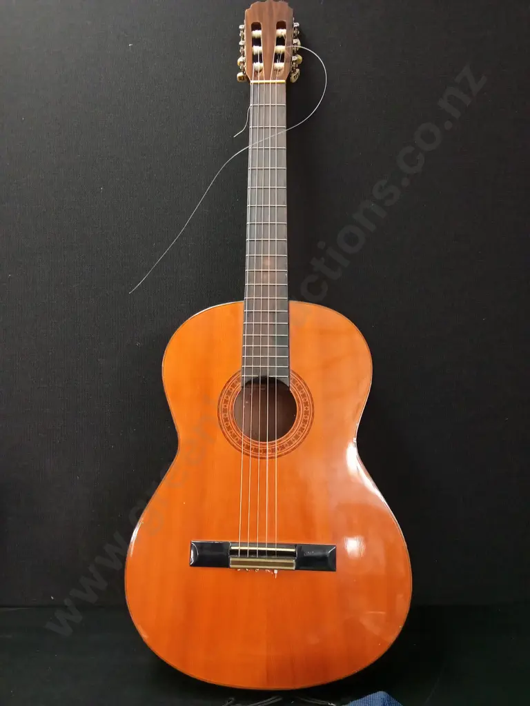 ACOUSTIC GUITAR AND ACCESSORIES Image 1++