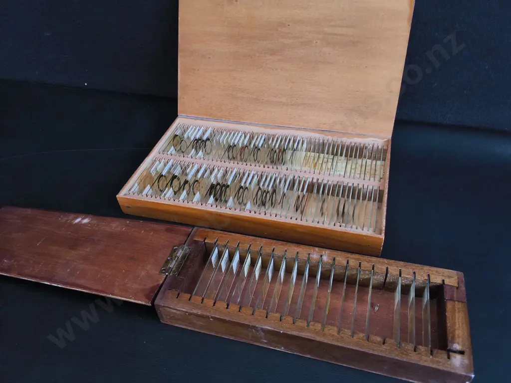 PAIR OF VINTAGE WOODEN MICROSCOPE SLIDE BOXES WITH GLASS SPECIMENS Image 1++