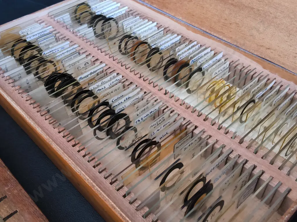 PAIR OF VINTAGE WOODEN MICROSCOPE SLIDE BOXES WITH GLASS SPECIMENS Image 1++