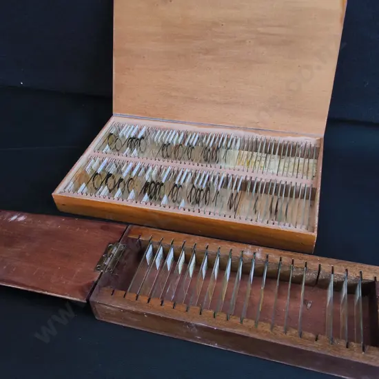 PAIR OF VINTAGE WOODEN MICROSCOPE SLIDE BOXES WITH GLASS SPECIMENS