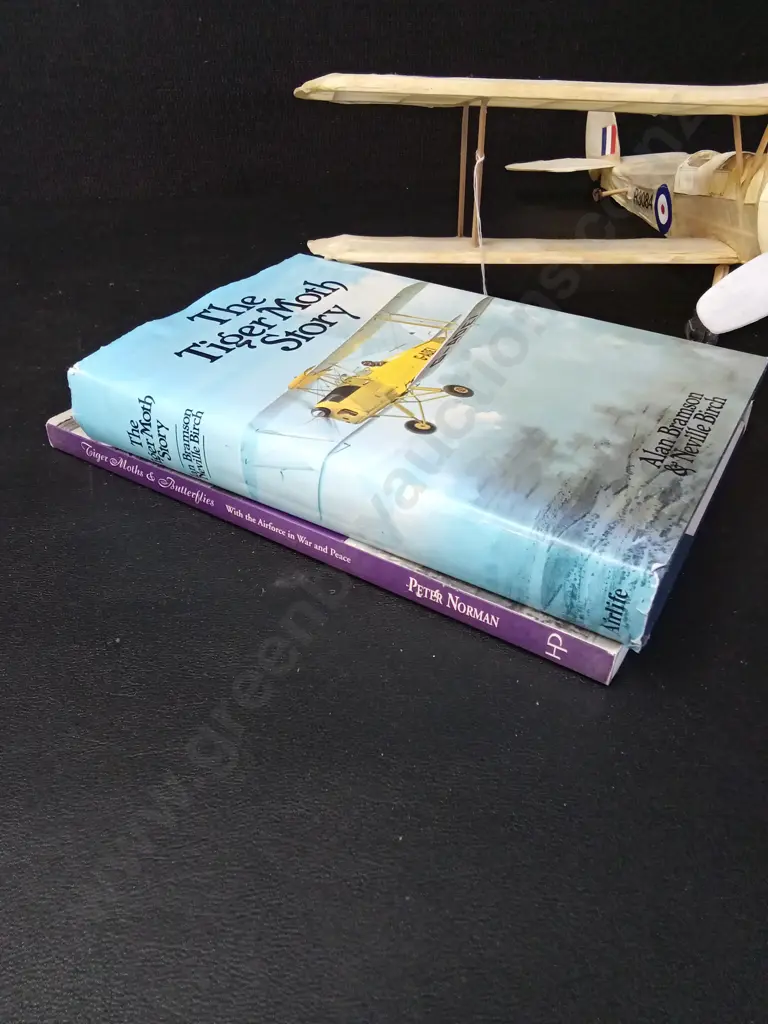 VINTAGE TISSUE AND BALSA WOOD TIGER MOTH MODEL PLANE L45CM AND 2 BOOKS ON TIGER MOTHS Image 1++