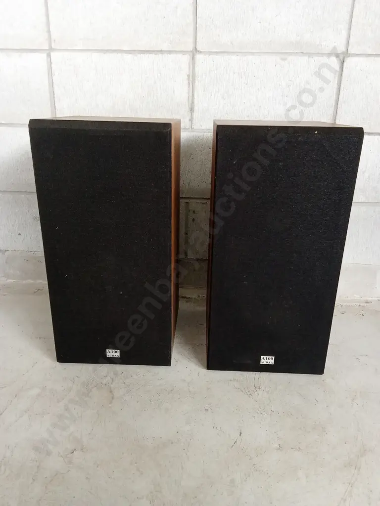PAIR OF AUDAX A100 SPEAKERS Image 1++