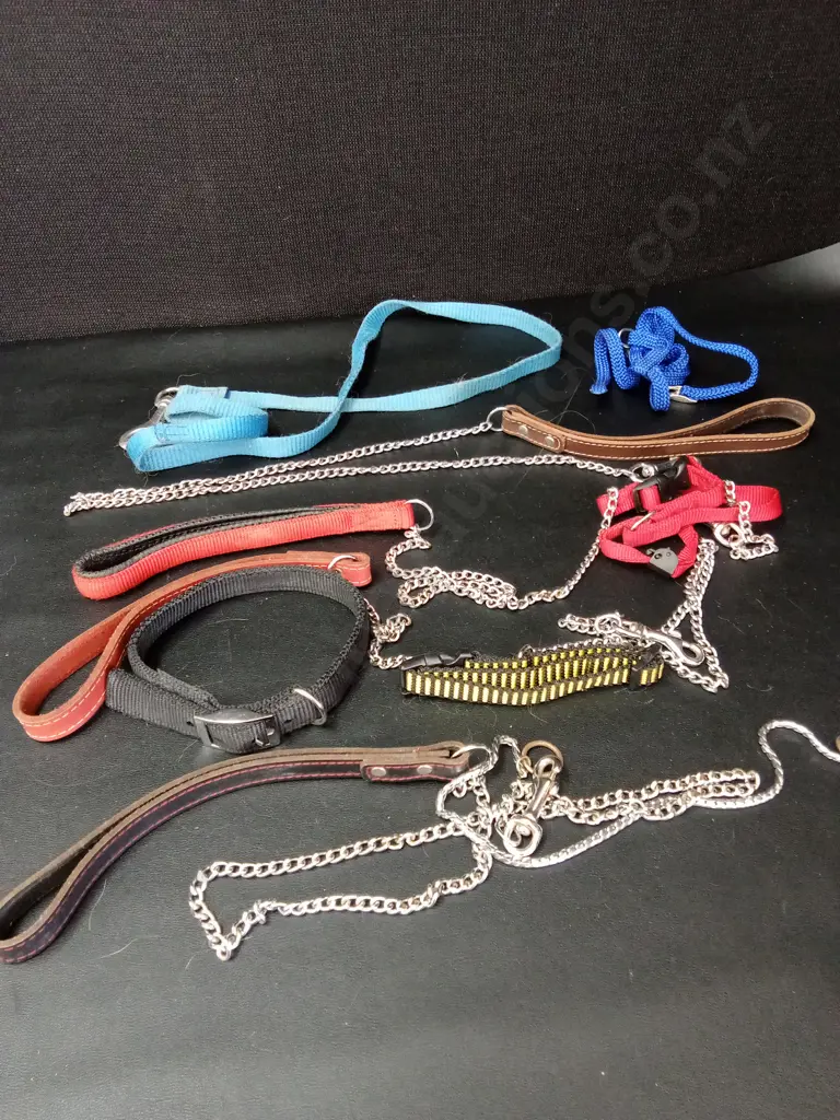 DOG LEADS AND COLLARS Image 1++